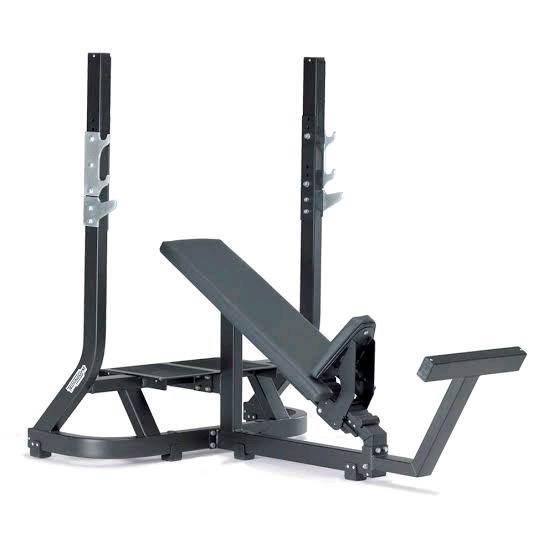 Technogym Olympic Incline Bench
